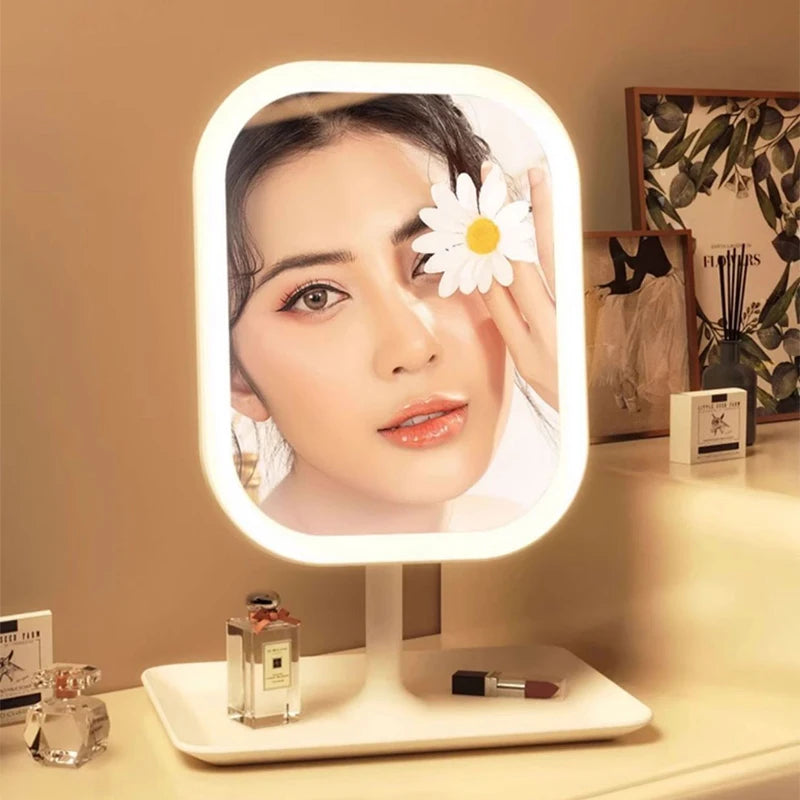 LED Makeup Mirror